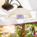 5W Mosquito Killer Lamp E27 LED Zapper for Summer Insects & Moths - Full Detail by Nari Haat, Indian ethnic wear, wom...