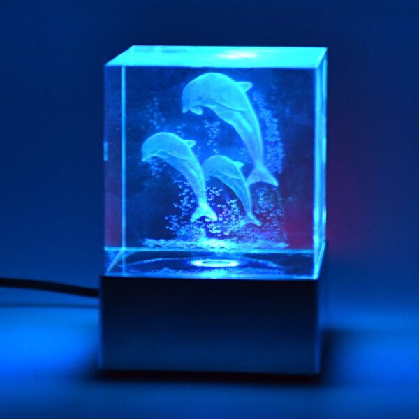 3D Mix Design LED Light Base With Speaker (1 Pc / B Grade) - Front View by Nari Haat, Indian ethnic wear, women cloth...