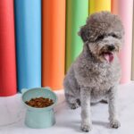 Plastic Multipurpose Bowl, Food Bowls (1 Pc) - Full Detail by Nari Haat, Indian ethnic wear, women clothing, designer...