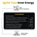 Himalayan Shilajit Gold Resin – 20g | Helps improve Stamina | Contains Gold - Full Detail by Nari Haat, Indian ethn...