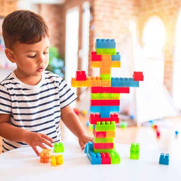 Small Building Blocks Toy for Kids