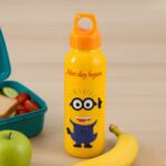 PORTABLE GLASS WATER BOTTLE, CREATIVE GLASS BOTTLE WITH GLASS WATER ( Mix Design) - Front View by Nari Haat, Indian e...