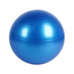 Anti-Burst Exercise Heavy Duty Gym Ball (Multicolour) (75Cm) - Front View by Nari Haat, Indian ethnic wear, women clo...