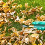 Stainless Steel Tooth Garden Leaf Rake - Closeup Embroidery by Nari Haat, Indian ethnic wear, women clothing, designe...