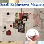 8.9mmx1.2mm Small Ferrite Silver Magnets in Disc Shape for Photo Gallery Hobby  65pc Set - Neckline Detail by Nari Ha...