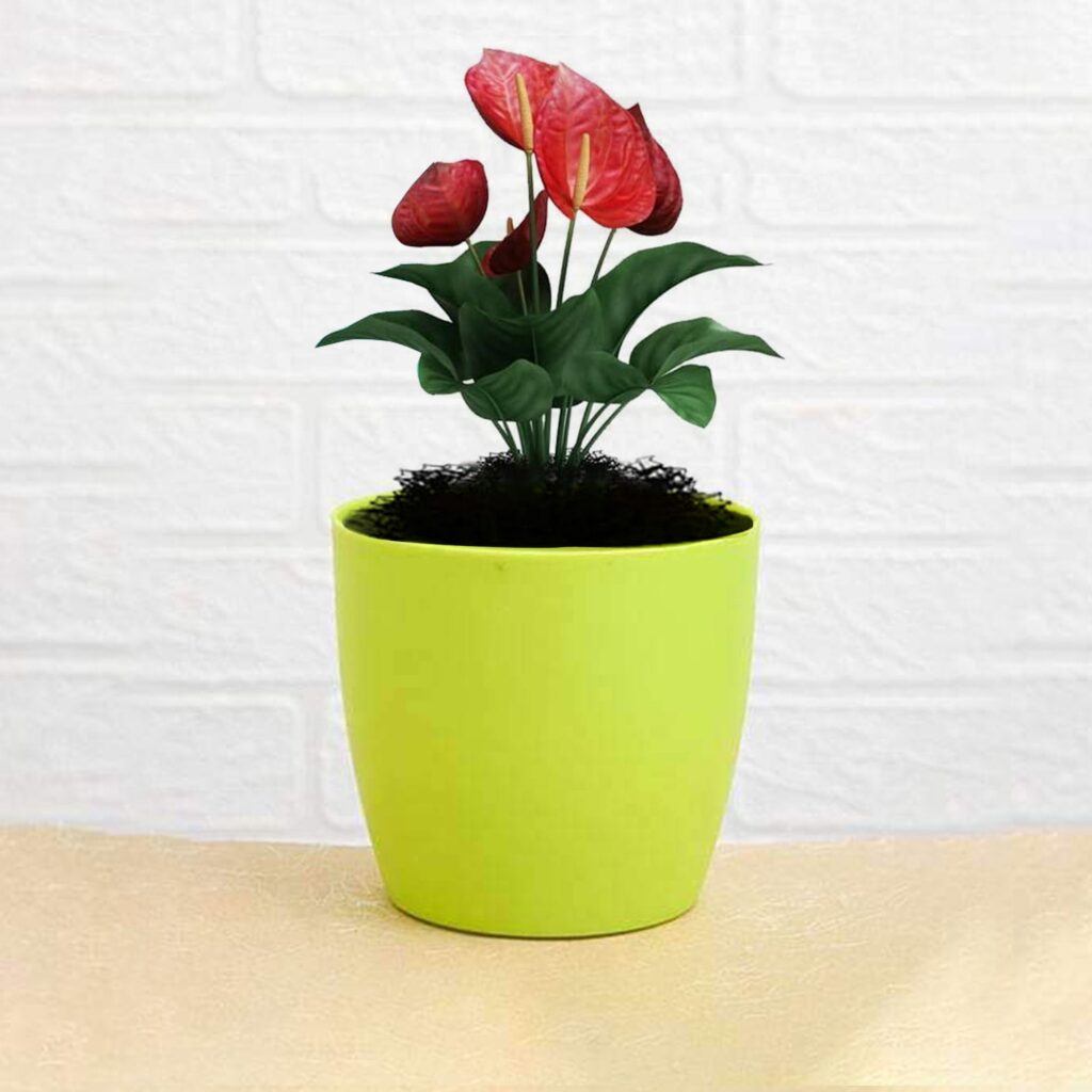 Round Plastic Flower Pot for Indoor Outdoor Gardening