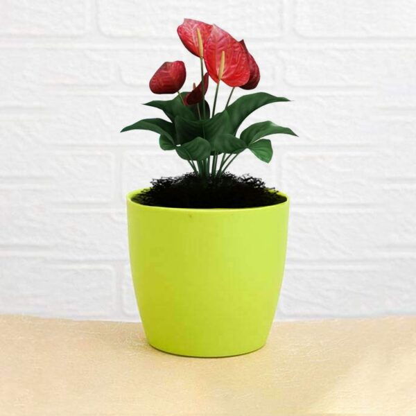 Round Plastic Flower Pot for Indoor Outdoor Gardening