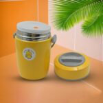 HEAVY LEAK-PROOF STAINLESS STEEL LUNCH BOX/ TIFFIN BOX, 2 COMPARTMENT - Fabric Detail by Nari Haat, Indian ethnic wea...