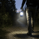 Portable Waterproof Camping Lantern for Hiking & Fishing (Battery Not Included) - Closeup Embroidery by Nari Haat, In...