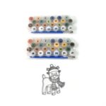 Paint by Number Kits 2 Set 21 Number Color, 6 paint brushes (2 Set) - Sleeve Design by Nari Haat, Indian ethnic wear,...