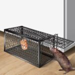 Live catch and release mouse trap cage