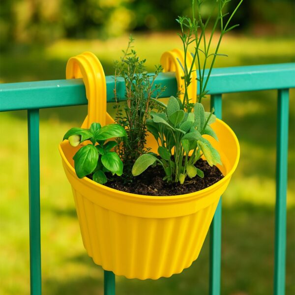 Multicolor Hanging Plastic Planter for Orchids