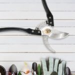 Gardening Tools - Garden Shears Pruners Scissor (1 Pc) - Back View by Nari Haat, Indian ethnic wear, women clothing, ...