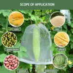 Protective Garden Barrier Cover Bag, Plants, Grapes, Figs, Flowers, and Vegetables - Full Detail by Nari Haat, Indian...