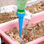 Self-watering spikes for indoor and outdoor plants