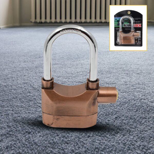 Metallic Security Alarm Lock with Keys