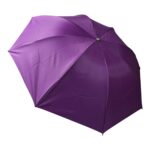 Vegetable shaped Folding Umbrella, Plastic Case Creative Fashion Folding Mini Sun Shade Rain Umbrella, Unique Umbrell...