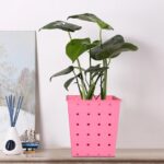 Square Single Plant Railing Dotted Planters - Front View by Nari Haat, Indian ethnic wear, women clothing, designer suit