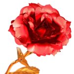 24k Gold Rose,hicoosee Gold Foil Plated Rose with LOVE Stand and Gift Box - Fabric Detail by Nari Haat, Indian ethnic...