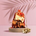 Net Fabric Drawstring Pouch – Organza Shagun Potli for Dry Fruits (Mix Sizes & Design) - Neckline Detail by Nari Ha...