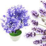 Artificial Flower Plant with Cute Pot – Perfect for Home & Office Decor (1 Pc) - Sleeve Design by Nari Haat, Indian...