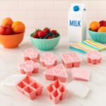 Multi Design BPA Free Ice Mold Set