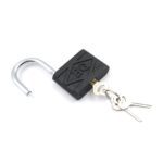 Iron Padlock with Brass Core for Home & Outdoor Security (60mm) - Neckline Detail by Nari Haat, Indian ethnic wear, w...