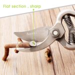 Garden Shears Pruners Scissor, flower cutter (8 inch) - Full Detail by Nari Haat, Indian ethnic wear, women clothing,...