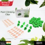 Plant Climbing Wall Fixture Clip (30 Pcs Set) - With Dupatta by Nari Haat, Indian ethnic wear, women clothing, design...