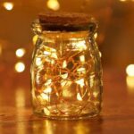 20 LED Wine Bottle Cork Lights Copper Wire Battery-Powered Fairy String Lights - Back View by Nari Haat, Indian ethni...