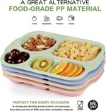 Divided Plates (32 CM, 5 Compartments) Shatterproof Microwave-Safe Tableware - Sleeve Design by Nari Haat, Indian eth...