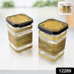Plastic Rajwadi Container 2pcs set 1100ml - With Dupatta by Nari Haat, Indian ethnic wear, women clothing, designer suit