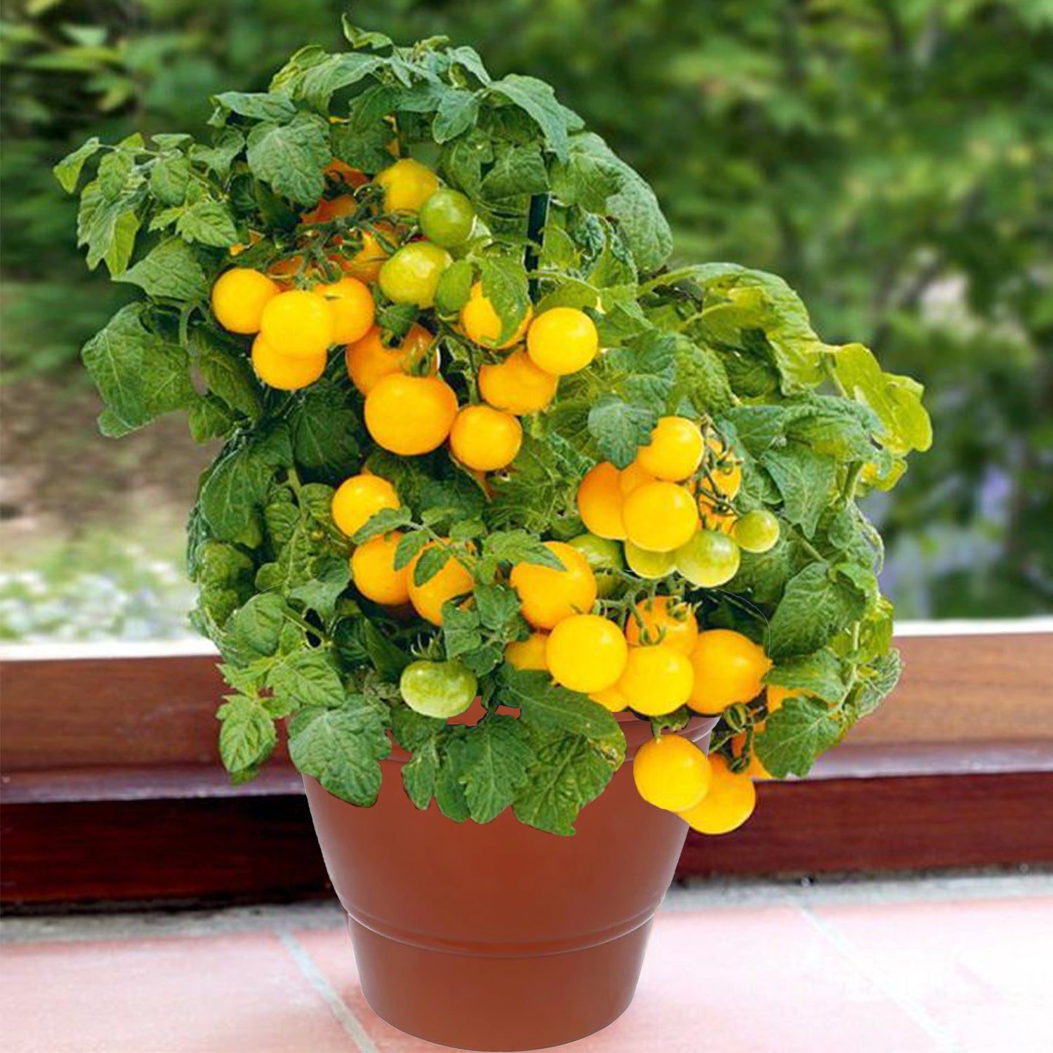 7_1898e63e-08bb-455a-a587-f6cbc0767058.jpg Garden Heavy Plastic Planter Pot / Gamla 6 inch (Brown, Pack of 1, Small) - Front View by Nari Haat, Indian ethnic we...