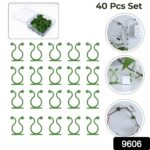 Plant Climbing Wall Fixture Clip Self-Adhesive Hook (40 Pcs Set / With plastic box) - With Dupatta by Nari Haat, Indi...