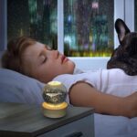 Fish 3D Crystal Ball lamps With Base (1 Pc) - Back View by Nari Haat, Indian ethnic wear, women clothing, designer suit