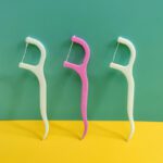 Dental Floss Toothpick Sticks for Oral Care