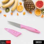 Stainless Steel Small Fruit Knife with Non-Slip Handle & Protective Cover (1 Pc) - With Dupatta by Nari Haat, Indian ...