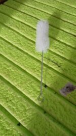 Safe Cleaning Brush Drinking Straw Cleaning Brush Bottle Cleaner Brush (1 Pc / 25 CM) - Fabric Detail by Nari Haat, I...