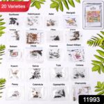 Seeds 20 Varieties of Flower Seeds Combo (1 Pkt / 20 Varieties) - With Dupatta by Nari Haat, Indian ethnic wear, wome...