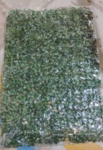 Plastic Wall Artificial Plant Base (60×40 CM / 1 Pc) - Fabric Detail by Nari Haat, Indian ethnic wear, women clothin...