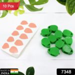 Plant Climbing Wall Clip,Self-Adhesive Vines Support Hooks for Indoor & Outdoor (10 Pcs Set) - With Dupatta by Nari H...