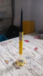 Solar Flower Garden Lights – Outdoor Decorative LED Lamp (2 Pc) - Full Detail by Nari Haat, Indian ethnic wear, wom...