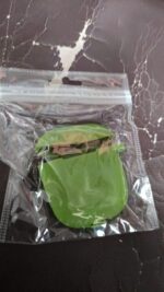 Silicone Shockproof Protection Wireless Headphones Carrying Box Cover Metal Keychain - Full Detail by Nari Haat, Indi...