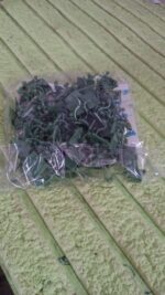 Plant Climbing Wall Fixture Clip Self-Adhesive Hook (100 Pcs Set) - Full Detail by Nari Haat, Indian ethnic wear, wom...