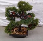 Artificial Potted Plant with Square Pot - Image 8