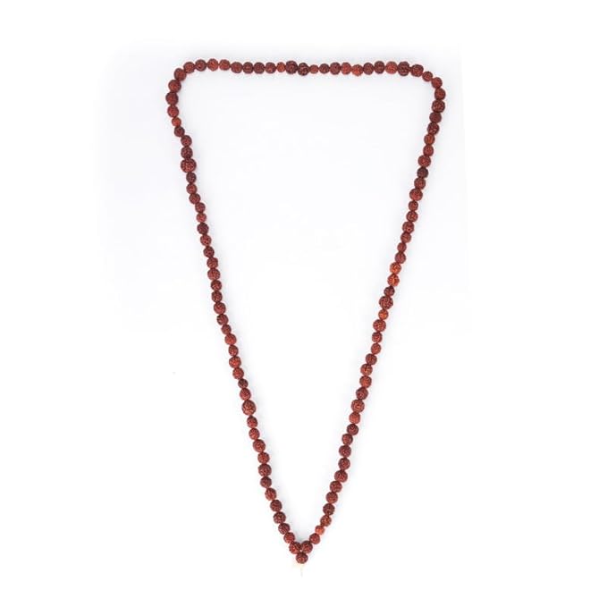 4142fsbGTL._SX679_ Click Pujan Rudraksh Mala - 108+1 Beads for Shiv Bhakti, Mantra Jaap | Dhyan & Sadhana | Rudraksh Jap Mala for Shivratri | Vrat | Anushthan & Spiritual Protection - Image 3
