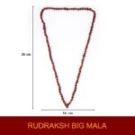 Click Pujan Rudraksh Mala - 108+1 Beads for Shiv Bhakti, Mantra Jaap | Dhyan & Sadhana | Rudraksh Jap Mala for Shivratri | Vrat | Anushthan & Spiritual Protection - Image 4