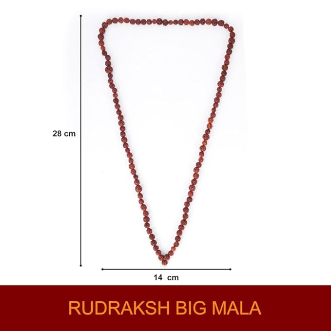 41eREYEsuwL._SX679_ Click Pujan Rudraksh Mala - 108+1 Beads for Shiv Bhakti, Mantra Jaap | Dhyan & Sadhana | Rudraksh Jap Mala for Shivratri | Vrat | Anushthan & Spiritual Protection - Image 4