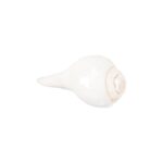 Click Pujan Small 4" Blowable Shaded Shankh | Sacred Conch Shell for Hindu Rituals | Lakshmi & Vishnu Blessings | Ideal for Home Temple & Meditation | Authentic Sangu Shankh for Puja Ceremonies. Enhance spiritual ambiance with this divine, handcrafted conch.
