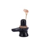 Click Pujan Naag Idol – Snake for Shivling Abhishek, Rudra Puja & Home Mandir. Handcrafted spiritual decor, ideal for temple worship and divine rituals. Enhance your sacred space with this authentic metal figurine, perfect for daily pooja and spiritual ambiance. - Image 3